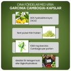 Doserade Garcinia Cambogia kapslar som stöttar kontrollen med aptiten för viktminskningen